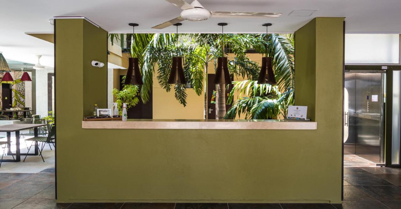 Oasis Fresh